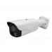 IP-видеокамера уличная Tecsar Lead IPW-L-2M100Vmwd-SFSD-poe
